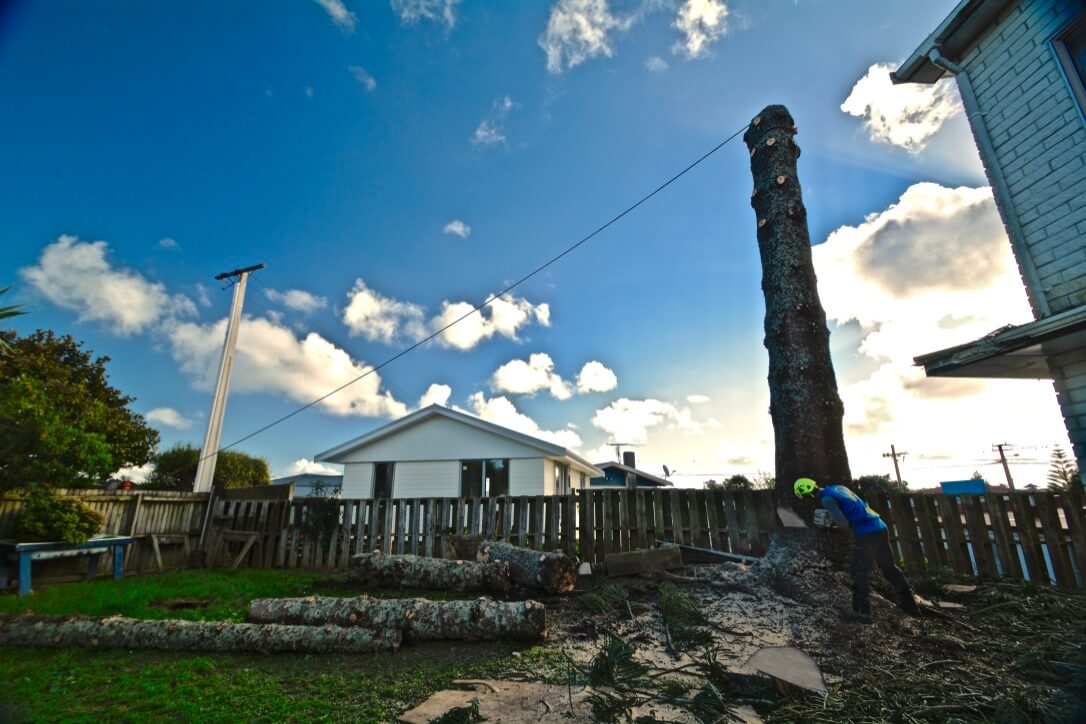 4 Amazing Benefits of Land Clearing