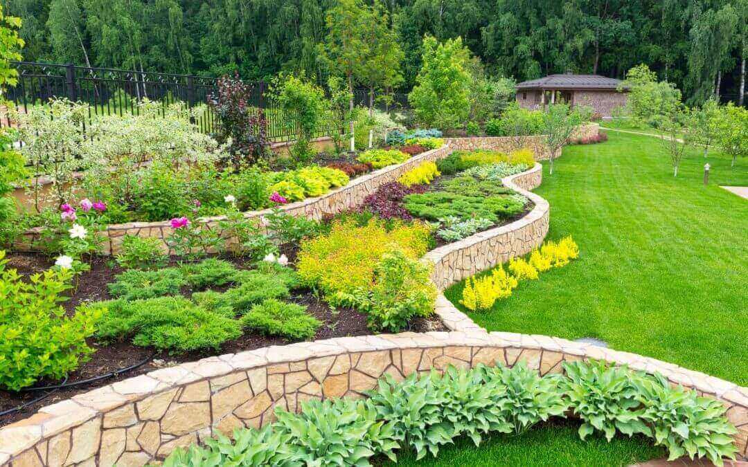 How To Prepare Your Trees For Spring