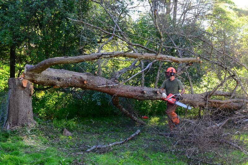 Land Clearing