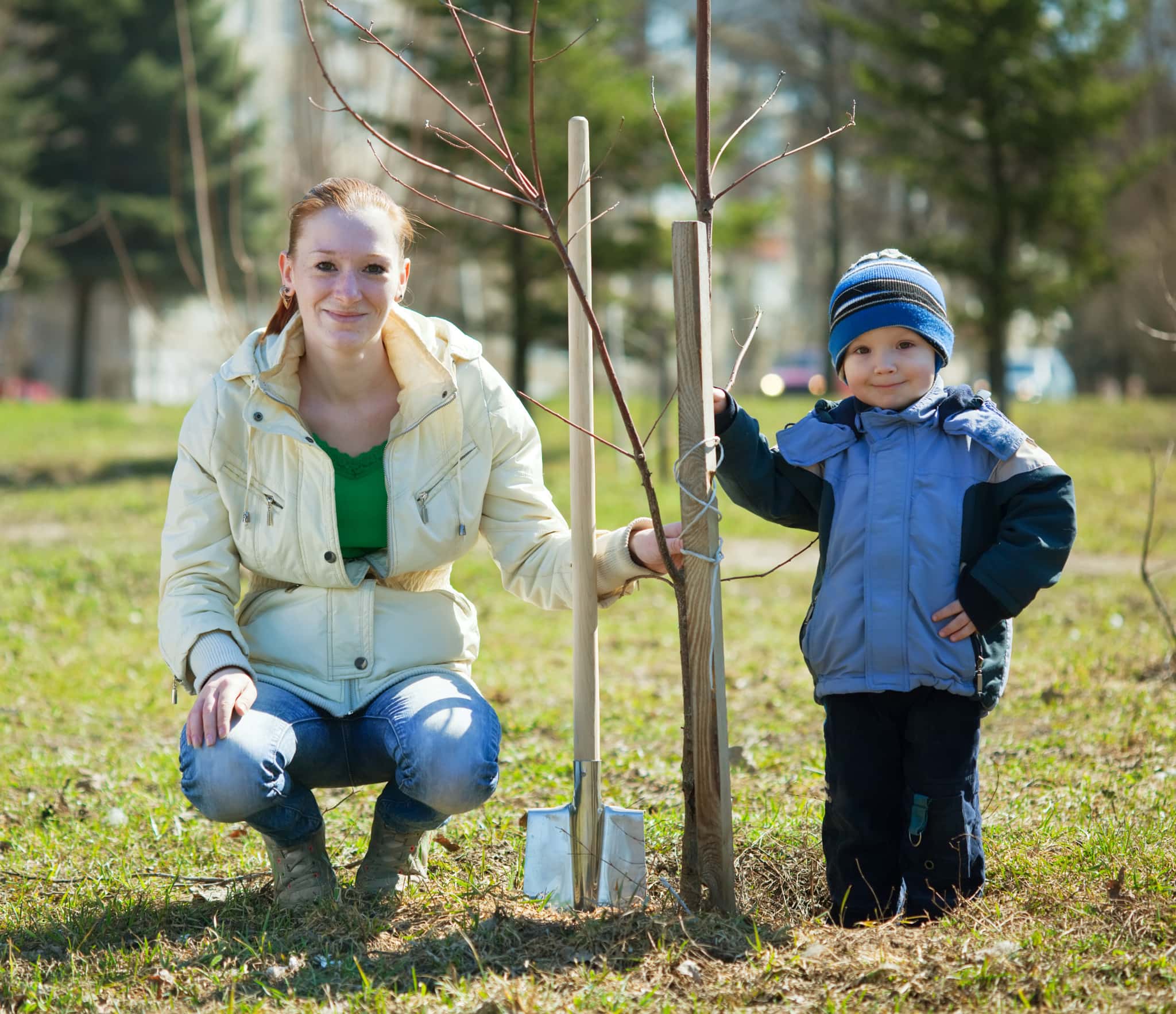 Arbor Day: Why it Matters