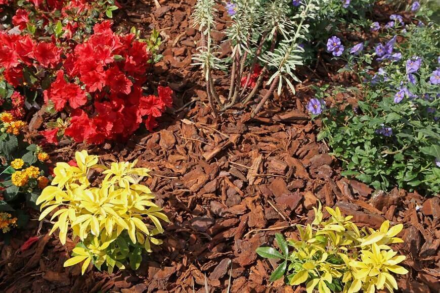 7 Questions To Ask Your Arborist