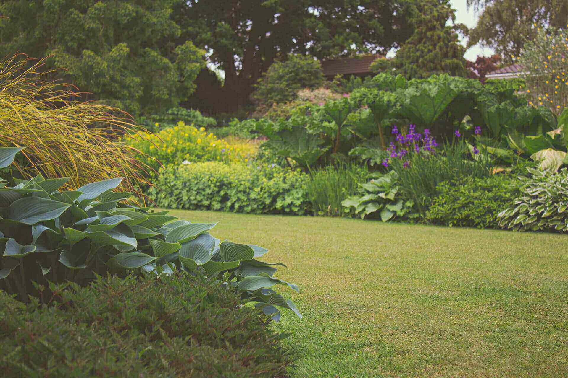 Auckland And North Shore Tree Cutting And Garden Care