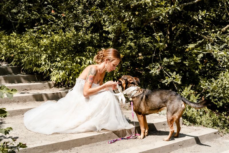 Bride in a white dress greeting a dog on outdoor steps