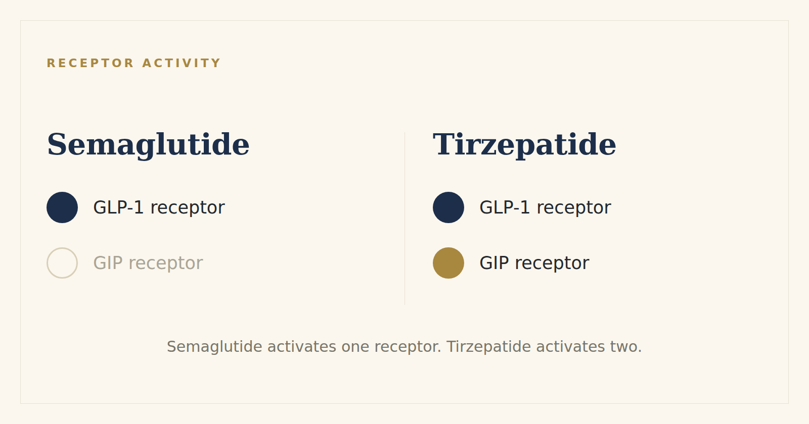 Semaglutide activates the GLP-1 receptor only; tirzepatide activates both the GLP-1 and GIP receptors