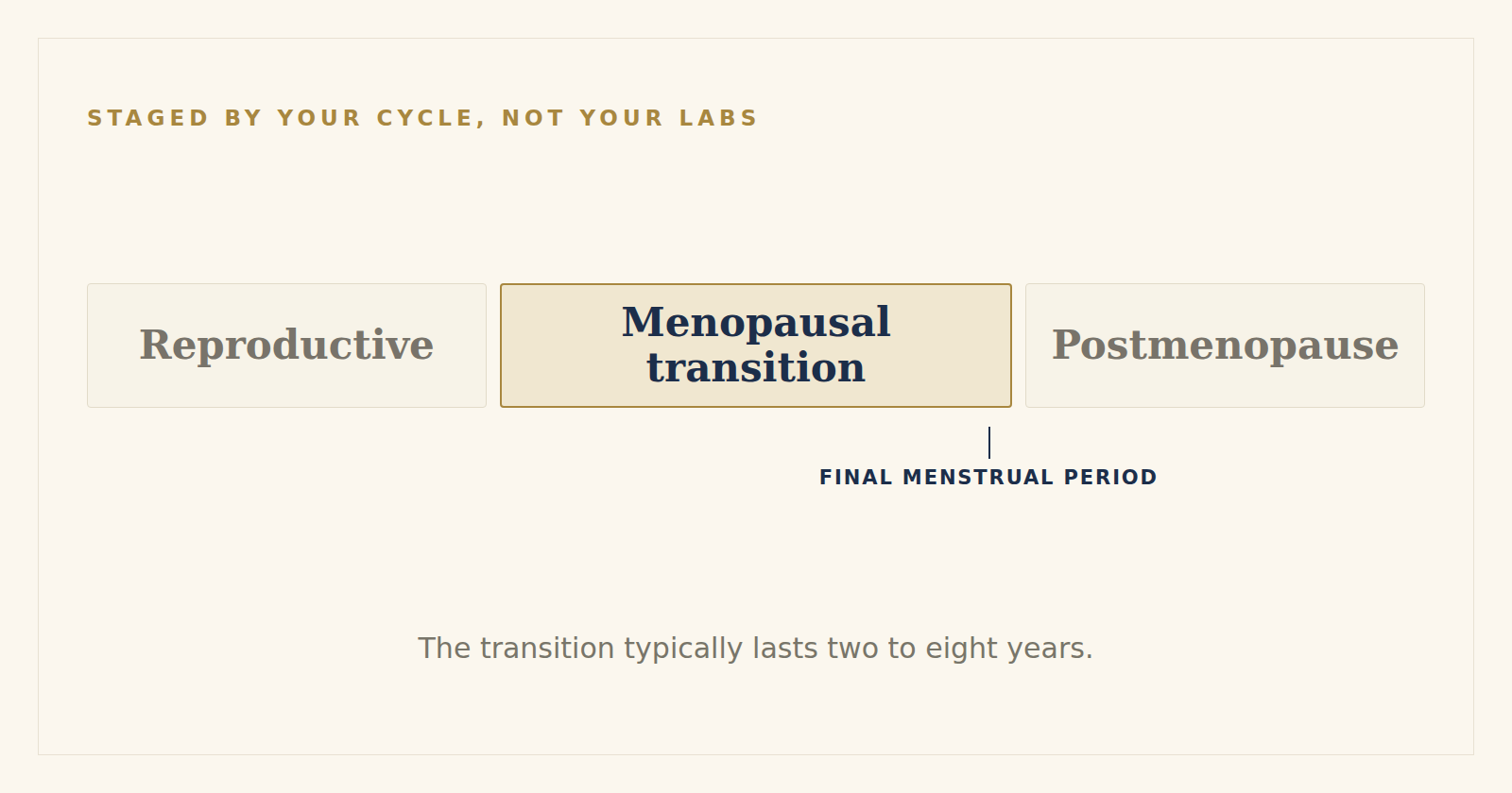 Perimenopause is staged by menstrual cycle pattern, not by hormone levels: reproductive years, then the menopausal transition, then postmenopause after the final menstrual period