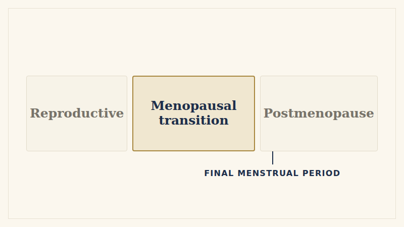 Perimenopause is staged by menstrual cycle pattern, not by hormone levels: reproductive years, then the menopausal transition, then postmenopause after the final menstrual period