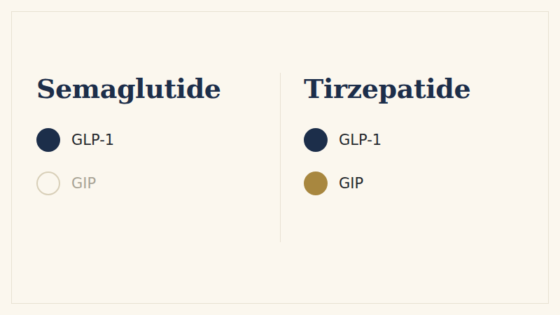 Semaglutide activates the GLP-1 receptor only; tirzepatide activates both the GLP-1 and GIP receptors