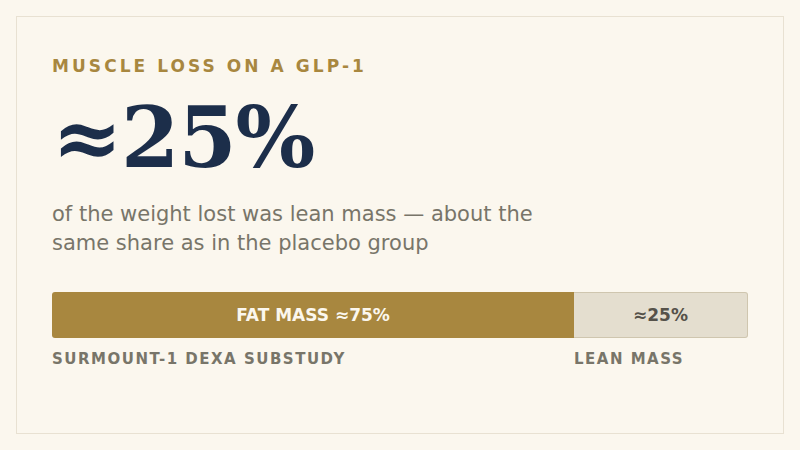 Two figures side by side. The headline you've seen: 40% of what you lose is muscle — the top of a range, repeated without the range. What the scans measured: approximately 25% of the weight lost was lean mass, and the placebo group's share was about the same. Beside them, bars from the SURMOUNT-1 DEXA substudy showing that both the tirzepatide group, which lost 21.3% of body weight, and the placebo group, which lost 5.3%, divided that loss roughly 75% fat mass to 25% lean mass.