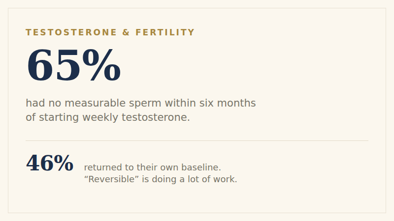 Two figures. Azoospermic within six months: 65 percent of 271 men on weekly testosterone, with a mean time to no measurable sperm of 120 days. Returned to their own baseline: 46 percent — recovering past a threshold and recovering to where you started are different things. Beside them, the American Urological Association guideline, Statement 23, a Strong Recommendation graded A: exogenous testosterone therapy should not be prescribed to men who are currently trying to conceive.