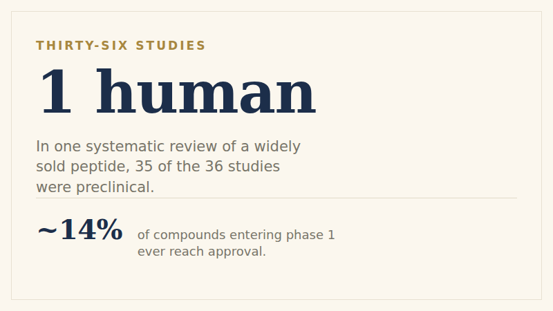 Two figures beside a quotation. Studies identified in one systematic review of BPC-157: 36 — on the face of it, a literature. Of them conducted in people: 1, a retrospective look at joint pain, with no study assessing safety or adverse events in humans. Beside them, from the Federal Trade Commission's Health Products Compliance Guidance: animal and in vitro studies are not sufficient to substantiate health-related claims, and may provide useful supporting or background information only, without confirmation by human randomised controlled trials.