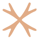 Abstract orange shape with rounded star-like arms on a transparent background.