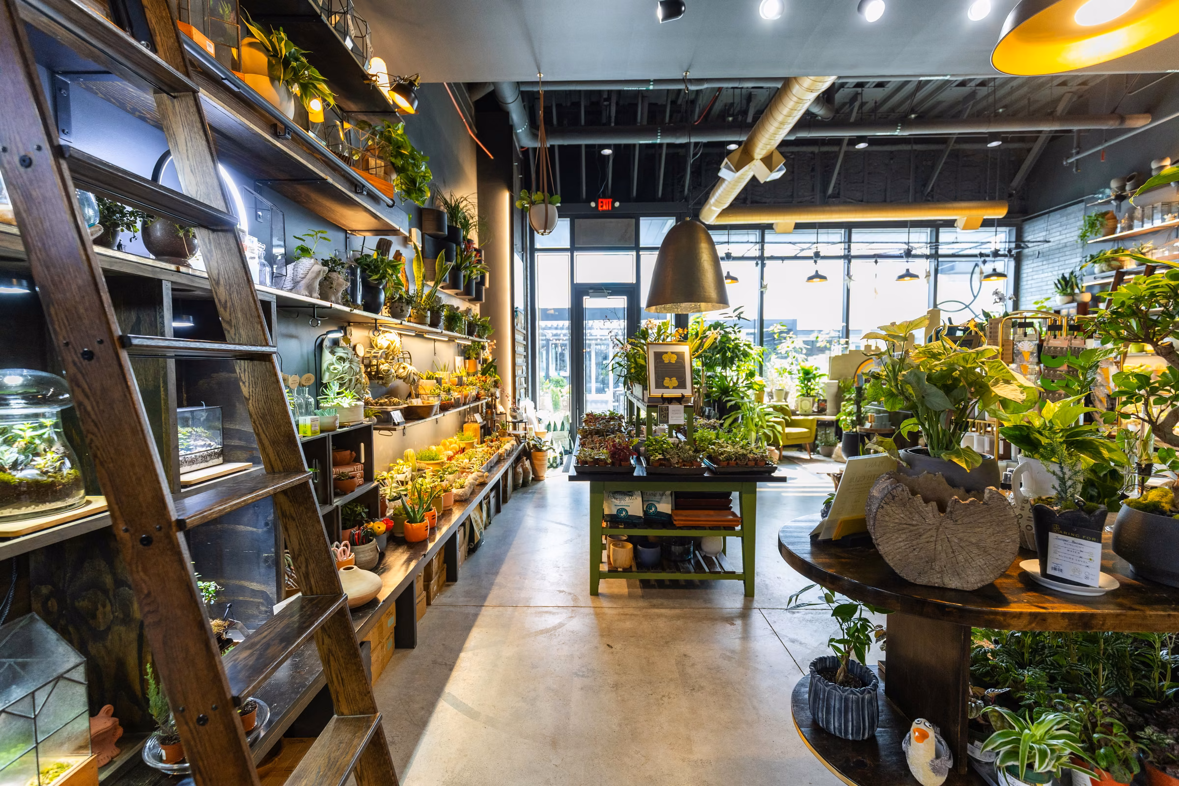 Bright plant shop interior with wooden ladder, shelves of small plants, and central tables of greenery.