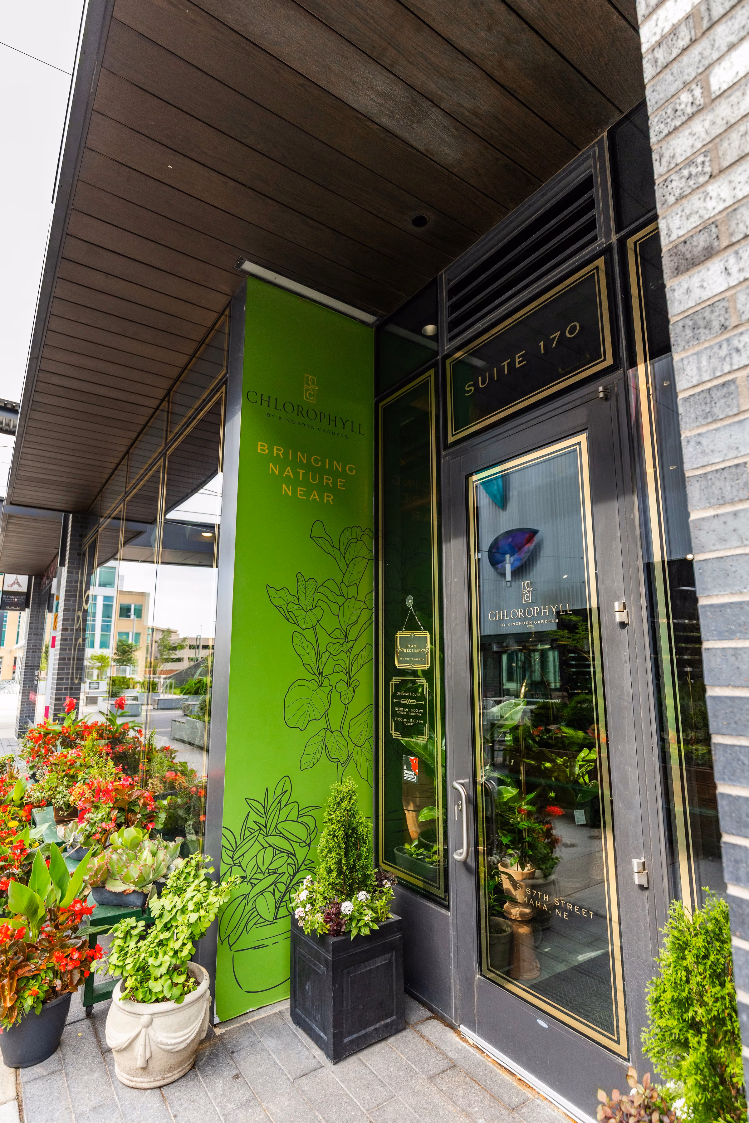 Shop aisle lined with terrariums and succulents leading toward bright storefront windows