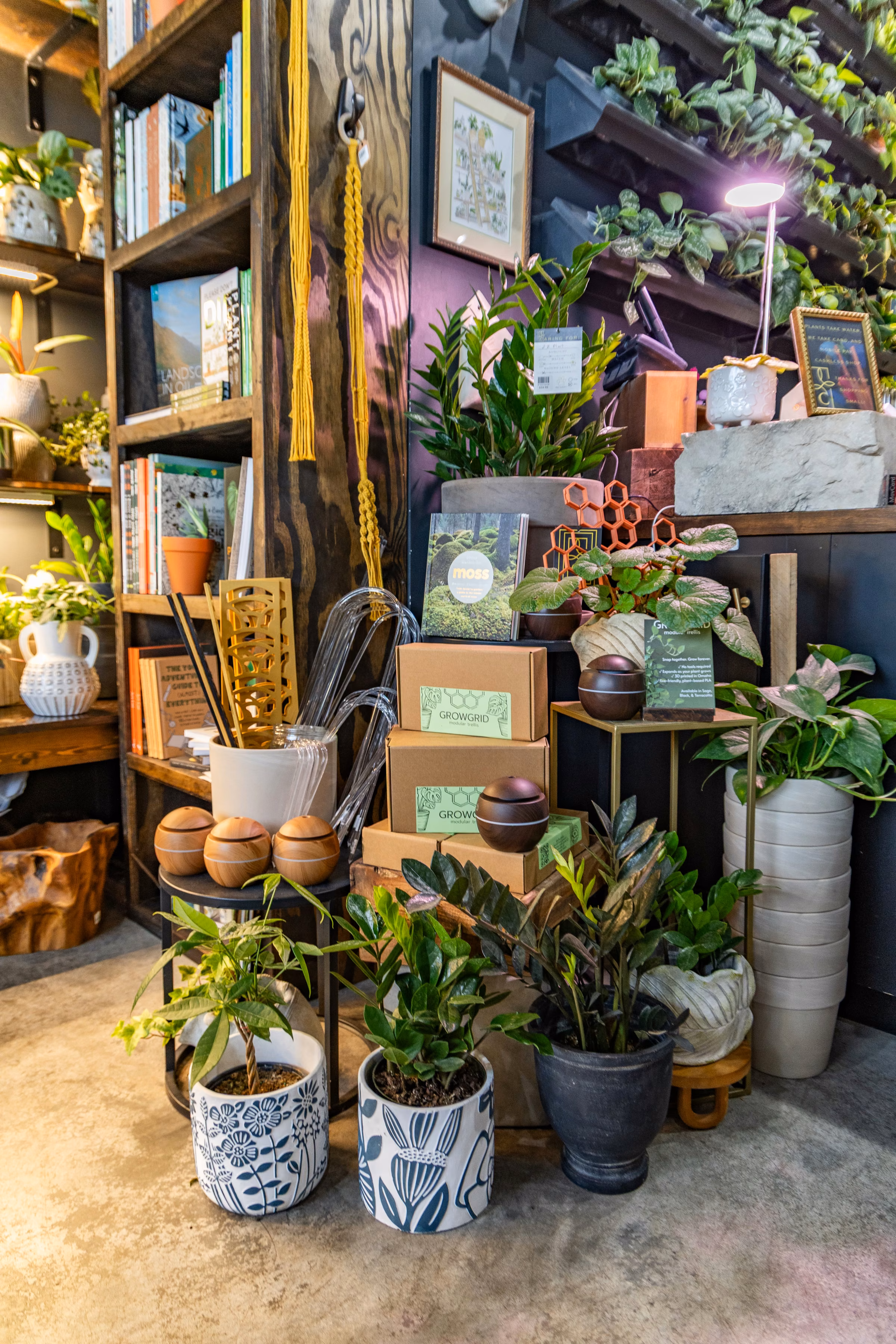 Indoor plant display with various potted green plants, books, and decorative items in a cozy store corner.