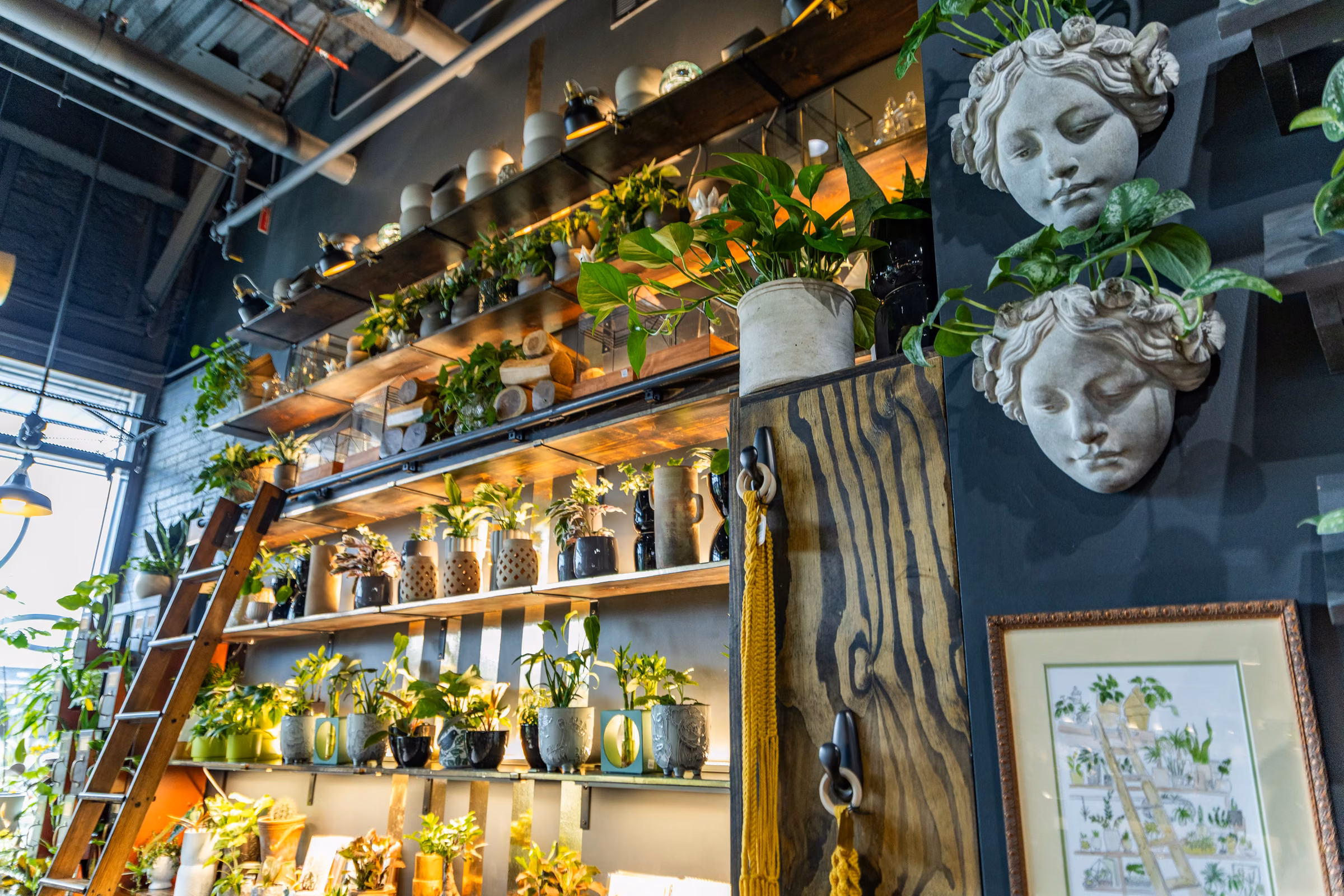 Lit wall shelves of potted plants beside stone face planters and a rolling ladder