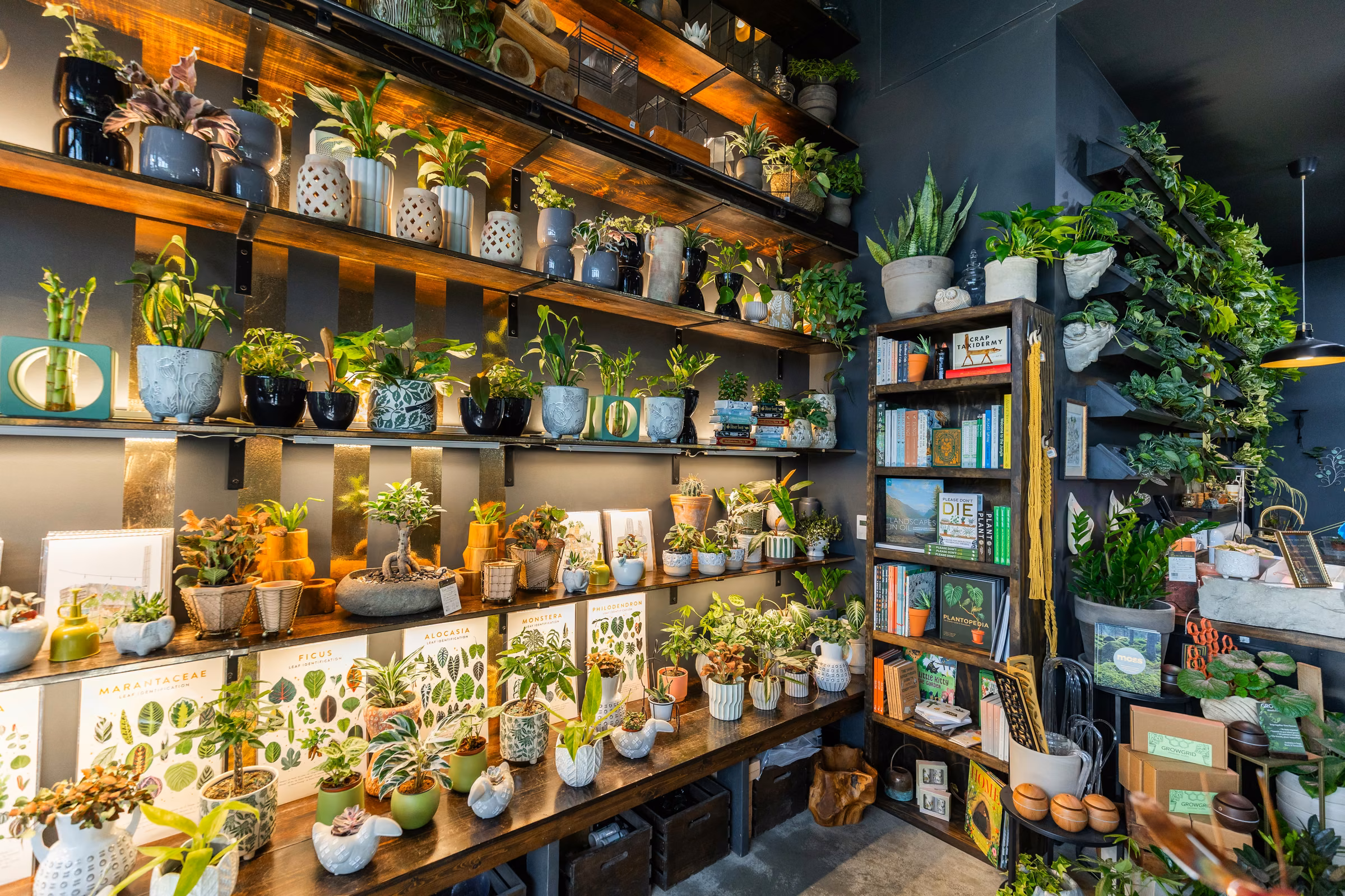 Indoor plant shop with shelves full of potted plants, books, and botanical prints on display.