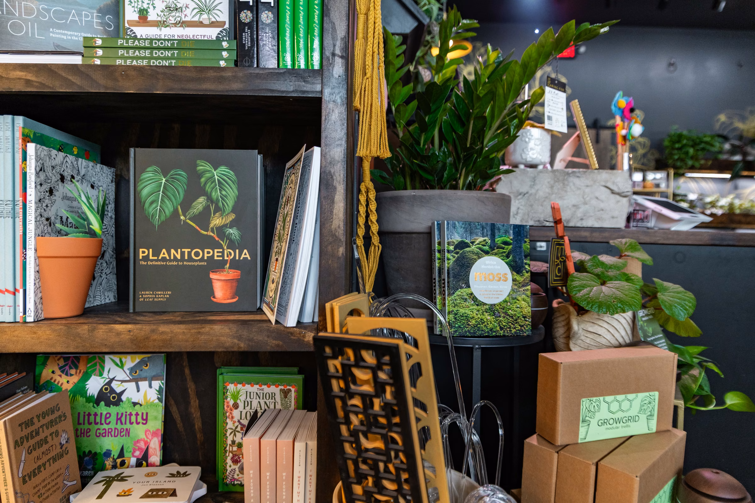 Books on houseplants and gardening displayed on wooden shelves beside potted plants and boxes in a shop.