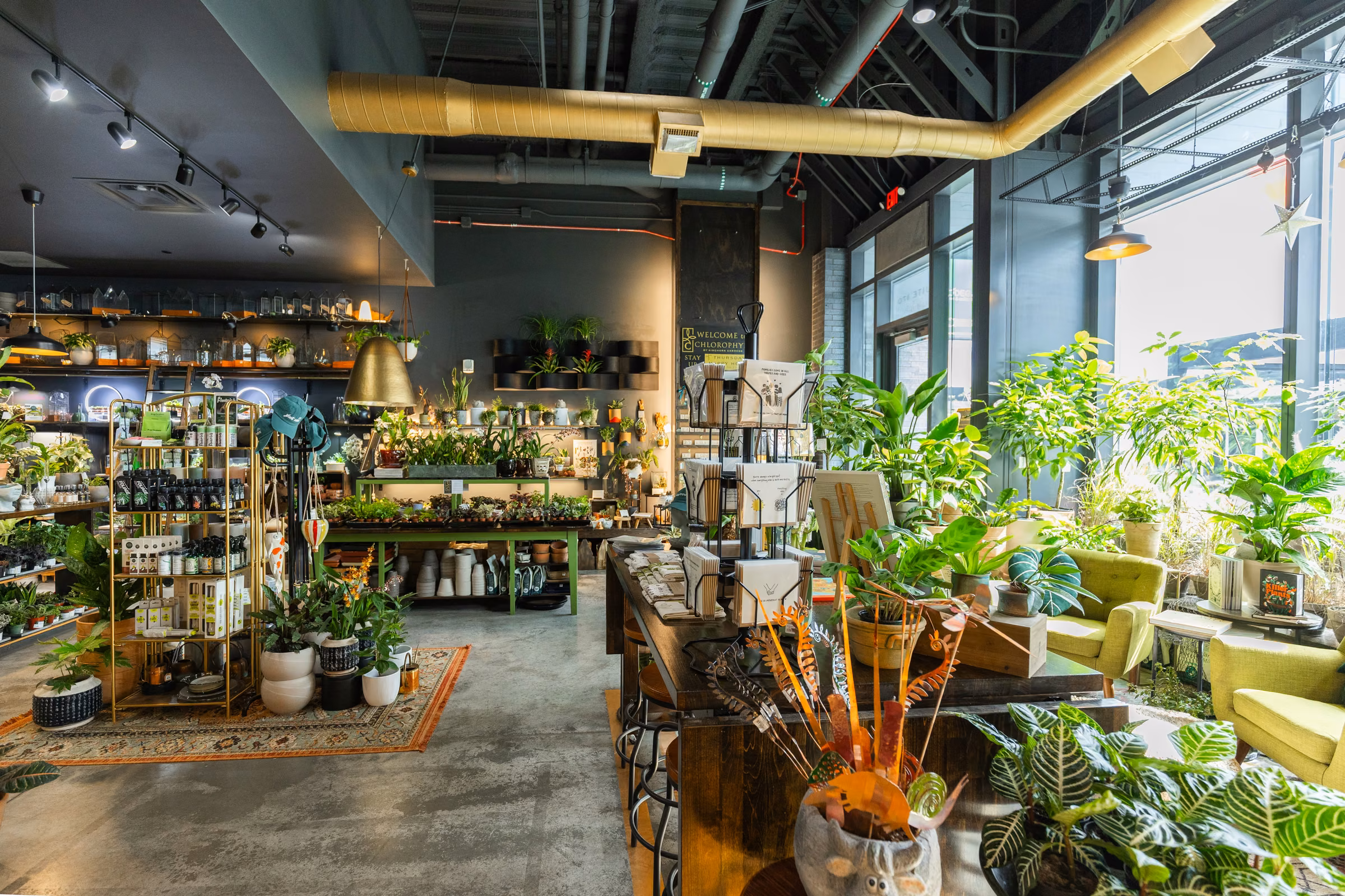 Bright indoor plant shop with green plants, shelves, seating area, and metal ventilation pipes visible overhead.