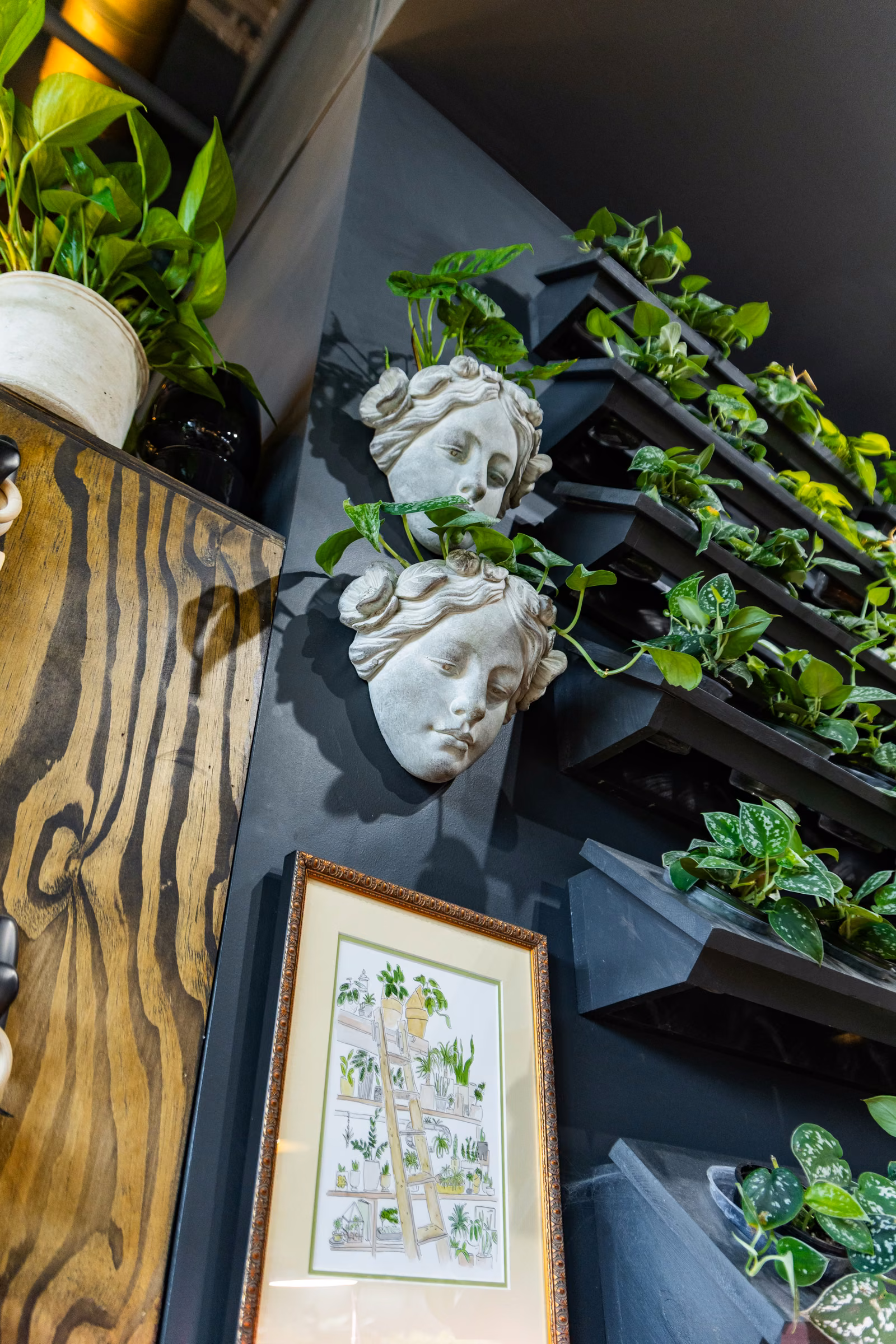 Bottles of foliage and orchid plant food lined up on a brass shelf above spray bottles