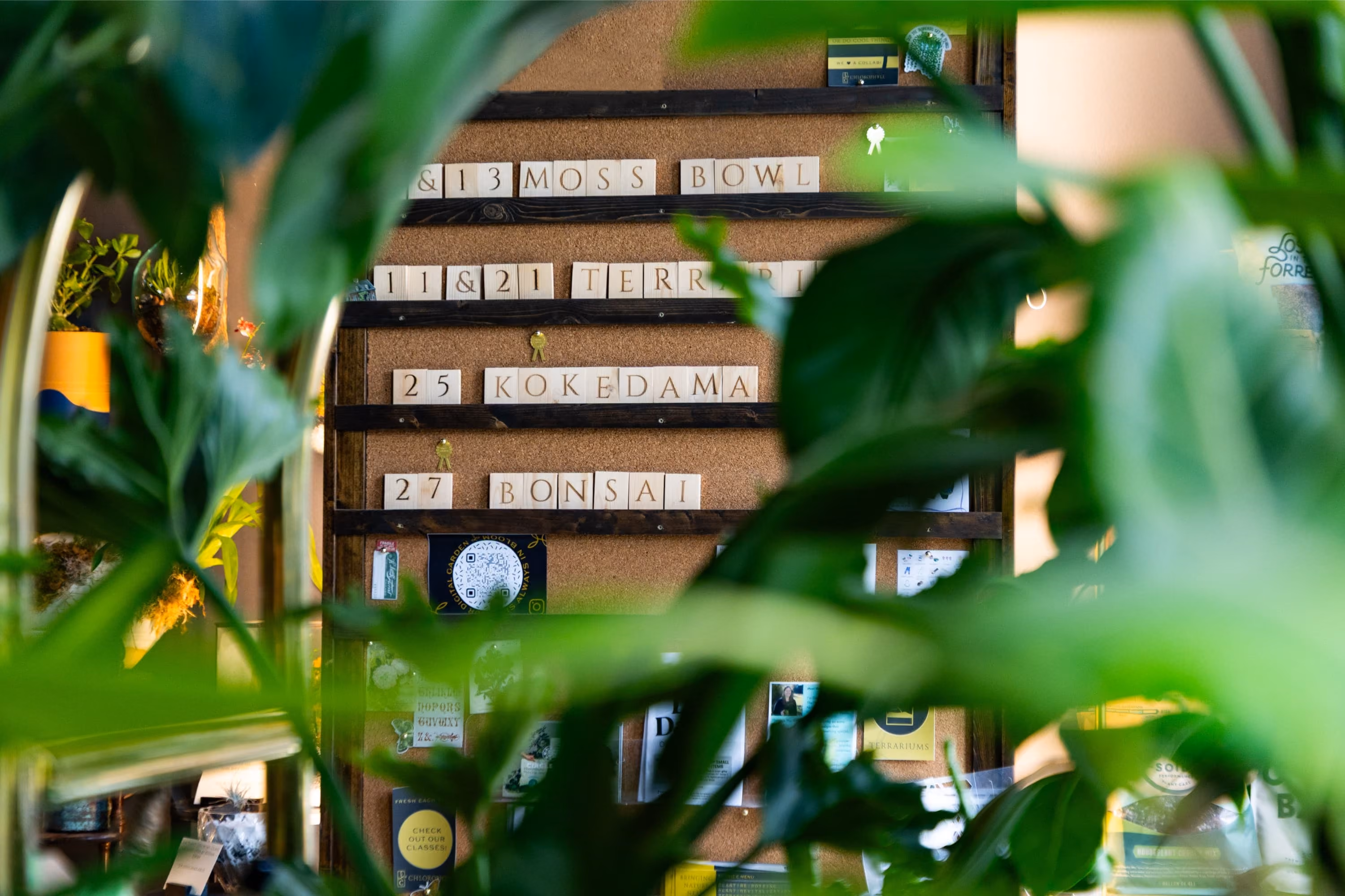 Plant shop interior with brass pendant lamps, a wooden rolling ladder and shelves of houseplants