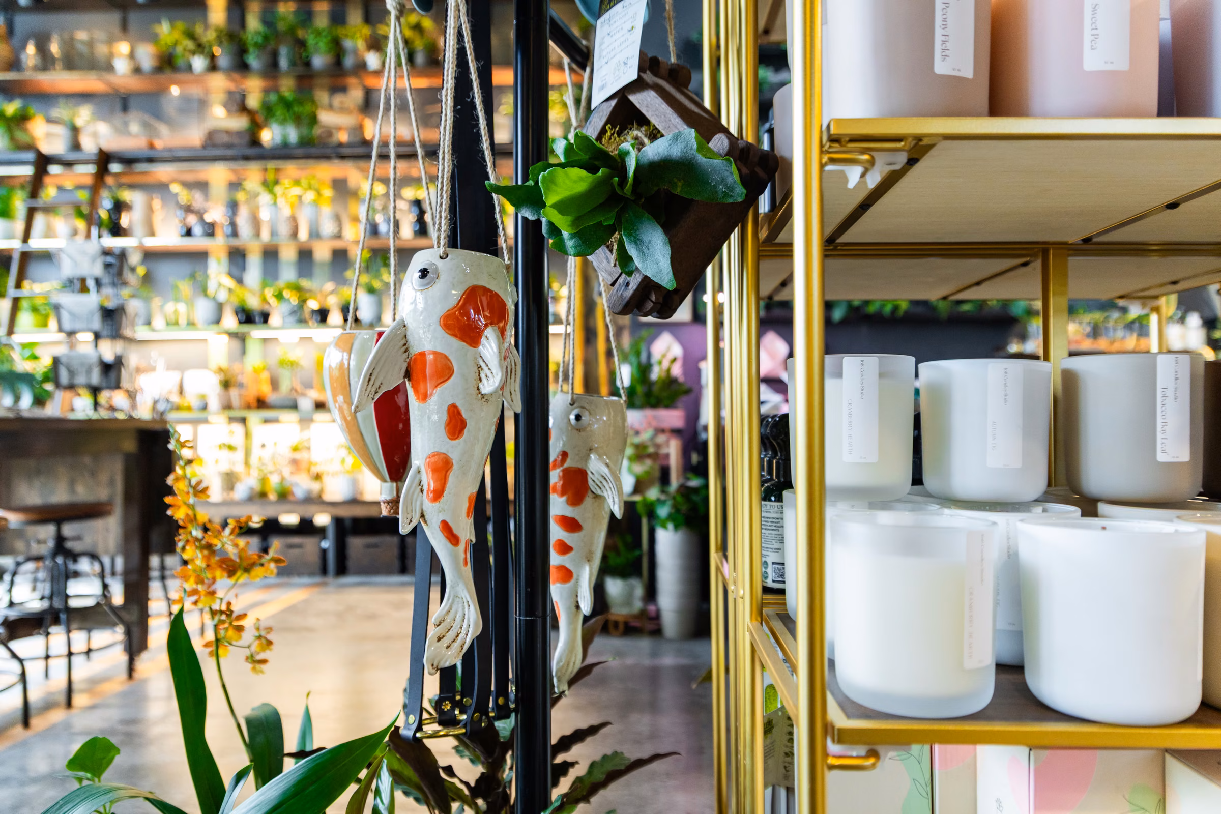 Hanging ceramic koi planters and candles catching daylight on a shop shelf