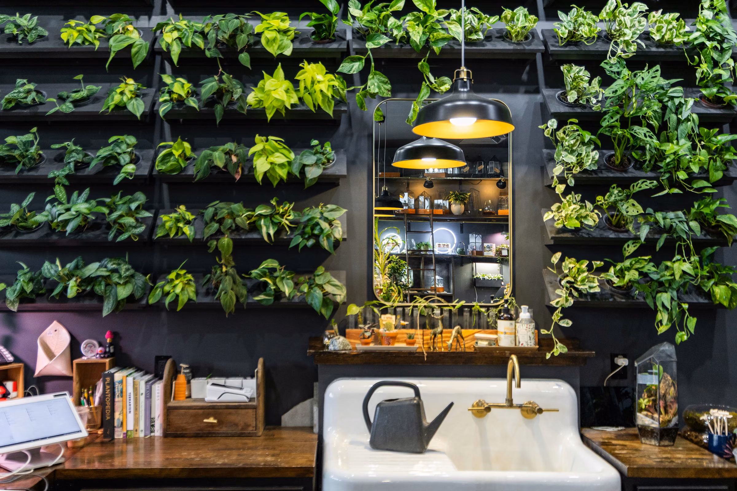 Pothos trailing from a plant wall above the shop's potting sink and work counter