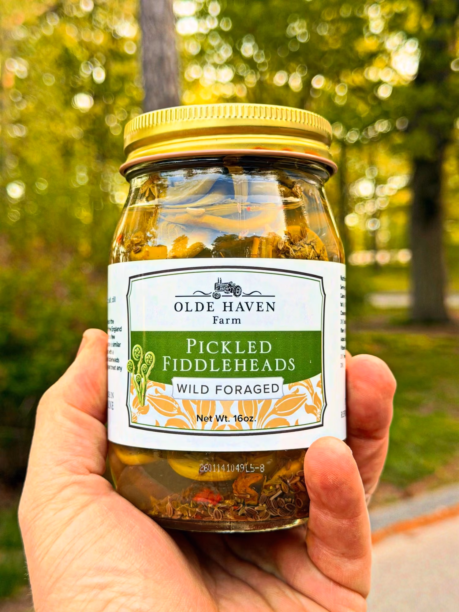 Olde Haven Farm