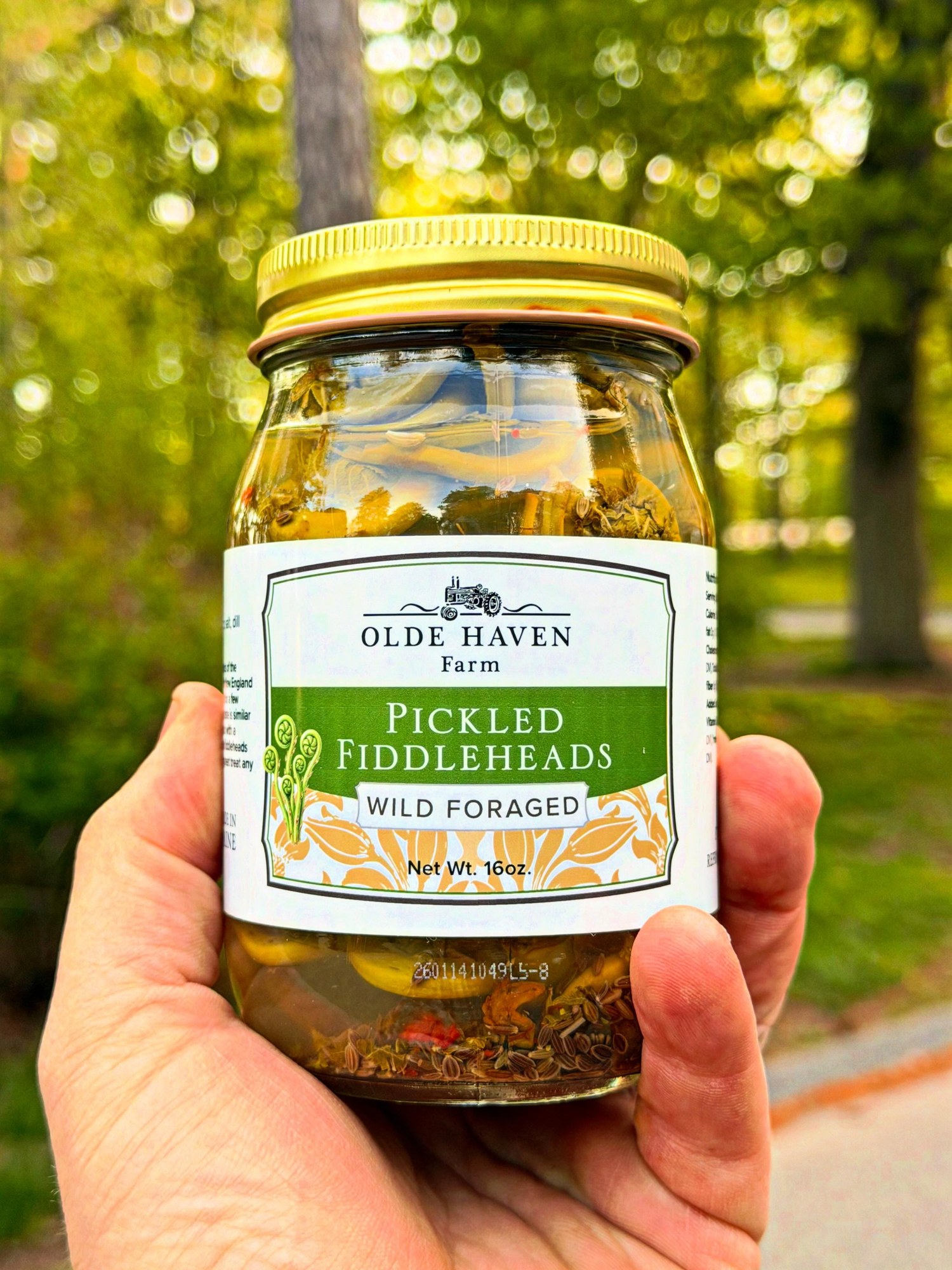 Olde Haven Farm