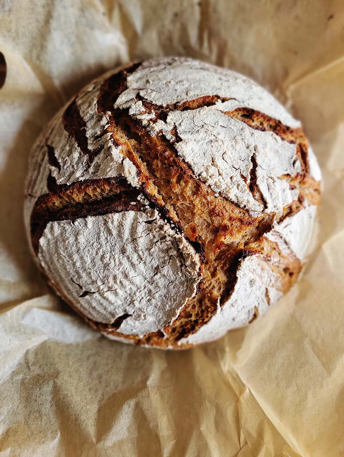 Hank's Sourdough