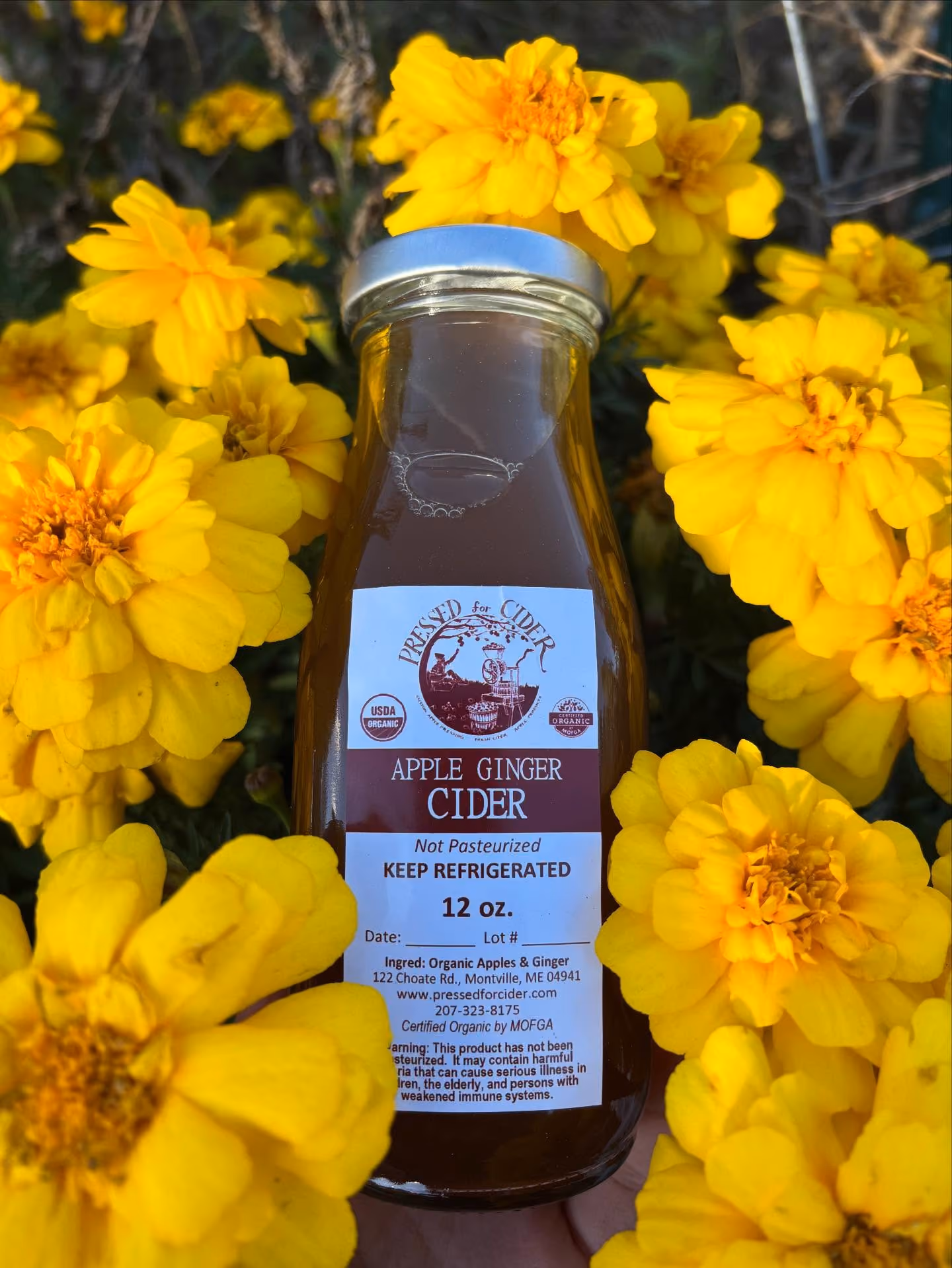 Pressed for Cider