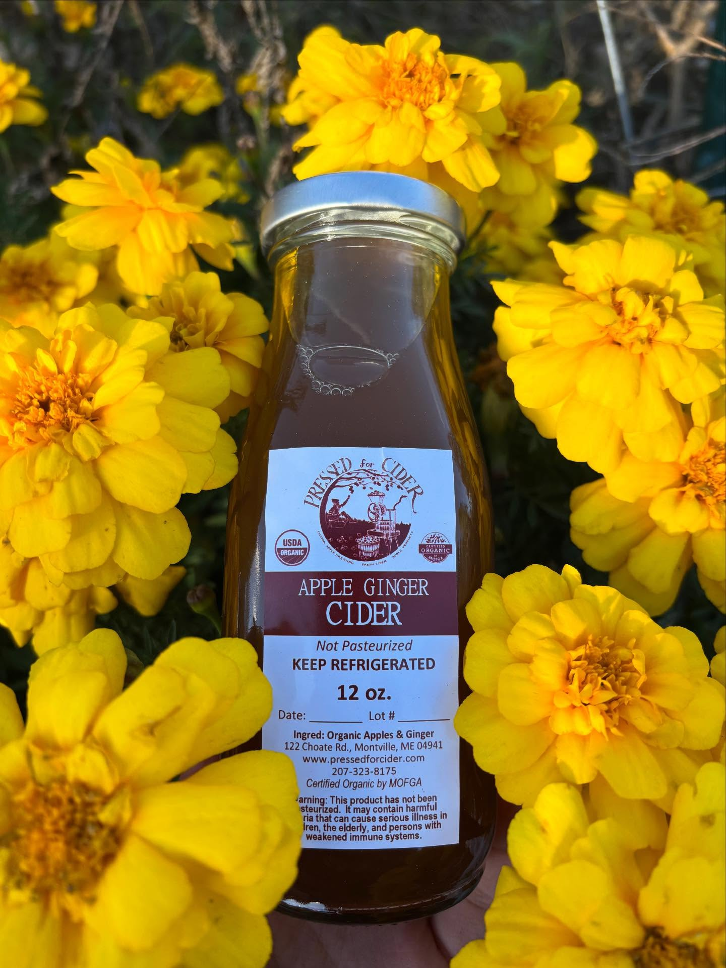 Pressed for Cider