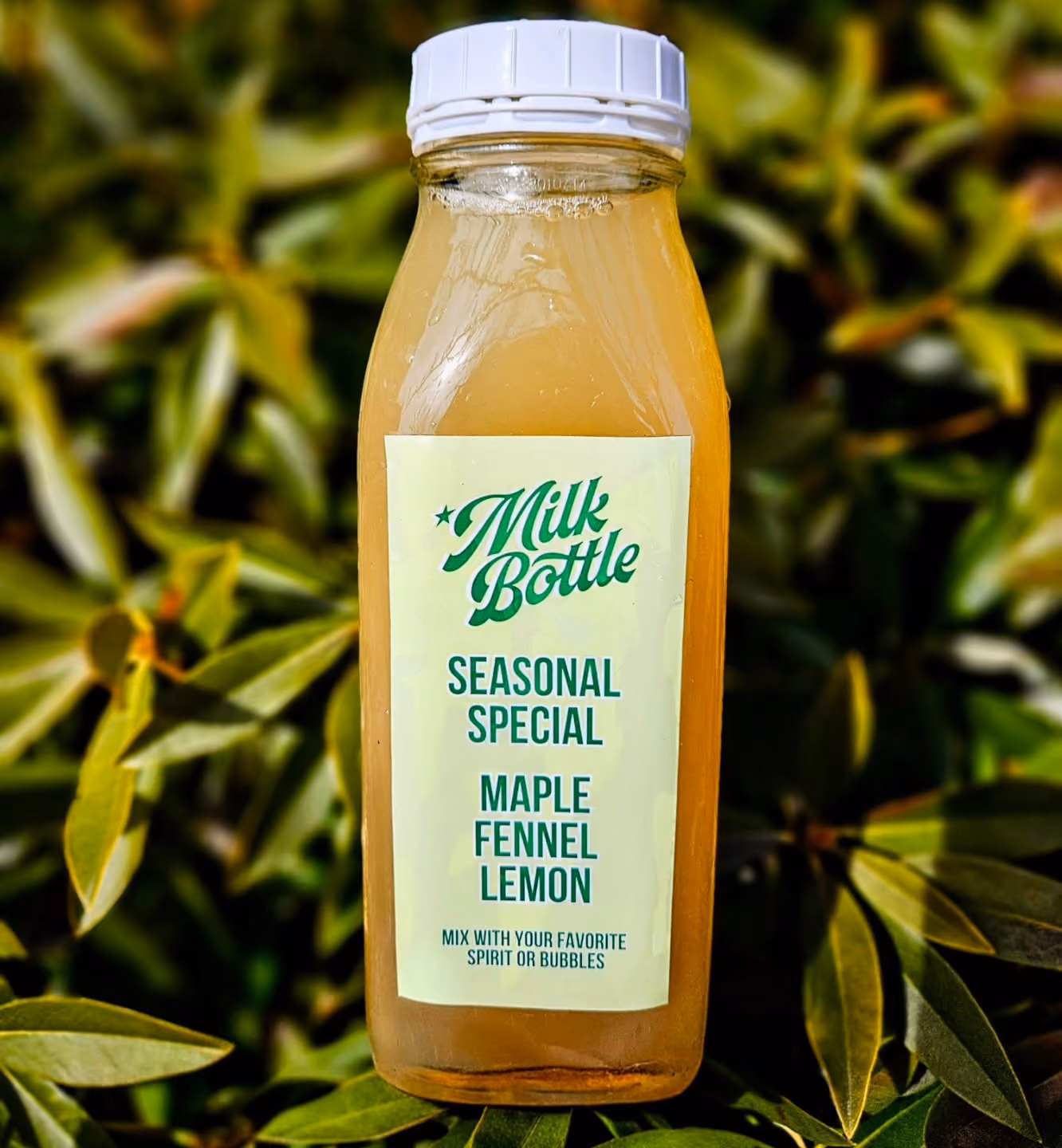 The Milk Bottle