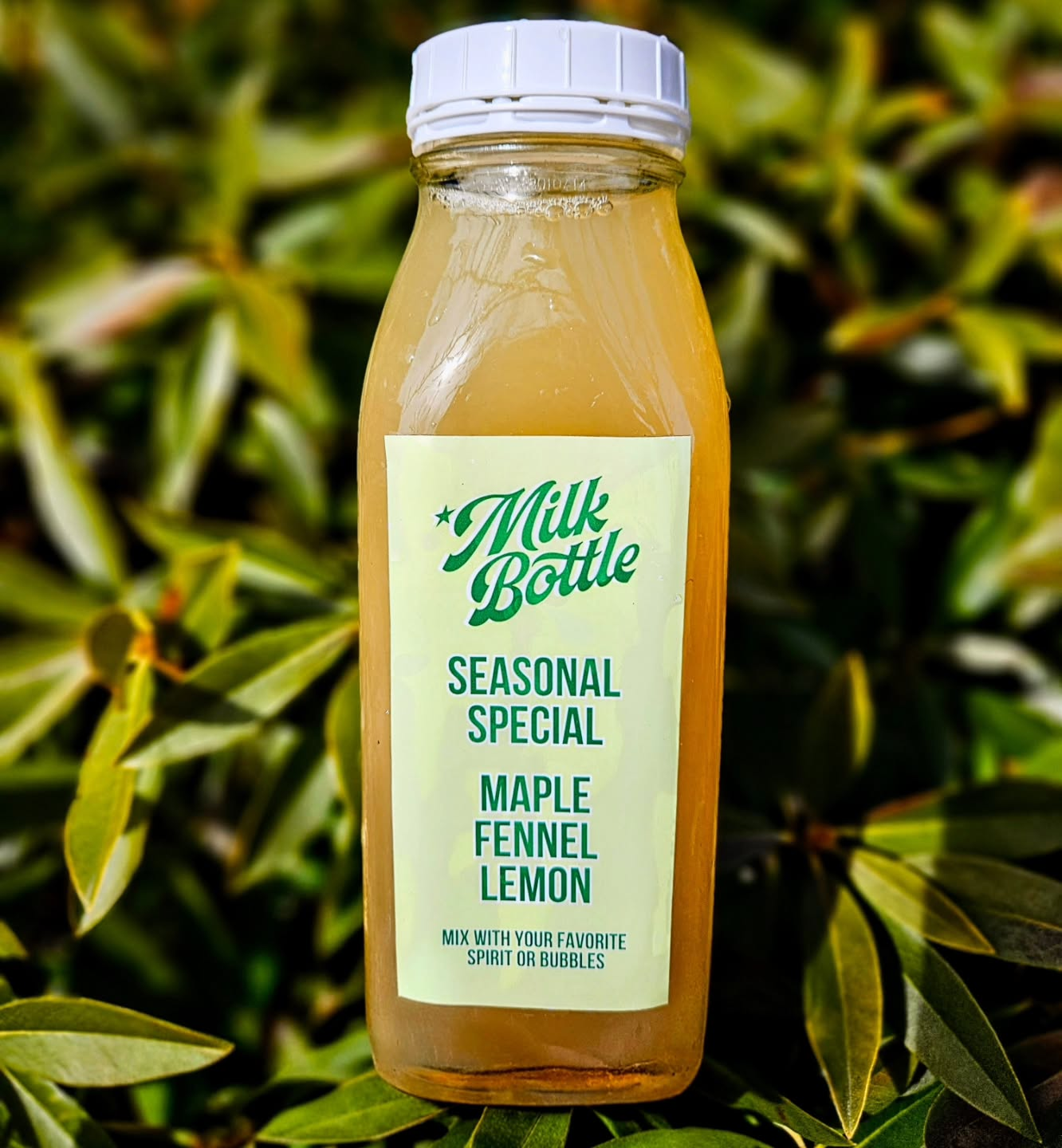 The Milk Bottle