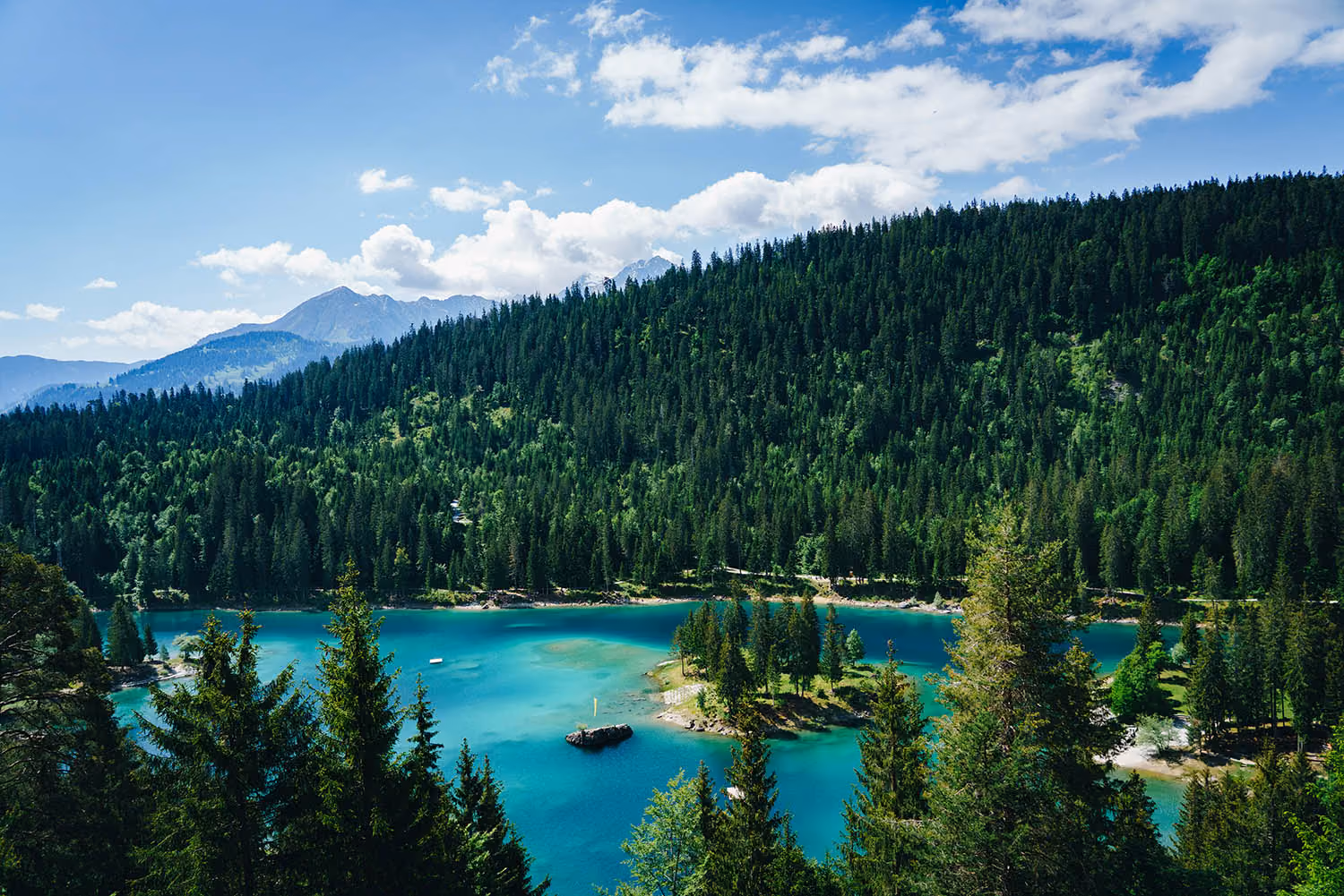 Türkisblauer Bergsee umgeben von dichtem grünen Nadelwald und bewaldeten Hügeln, mit Bergen und blauem Himmel im Hintergrund.