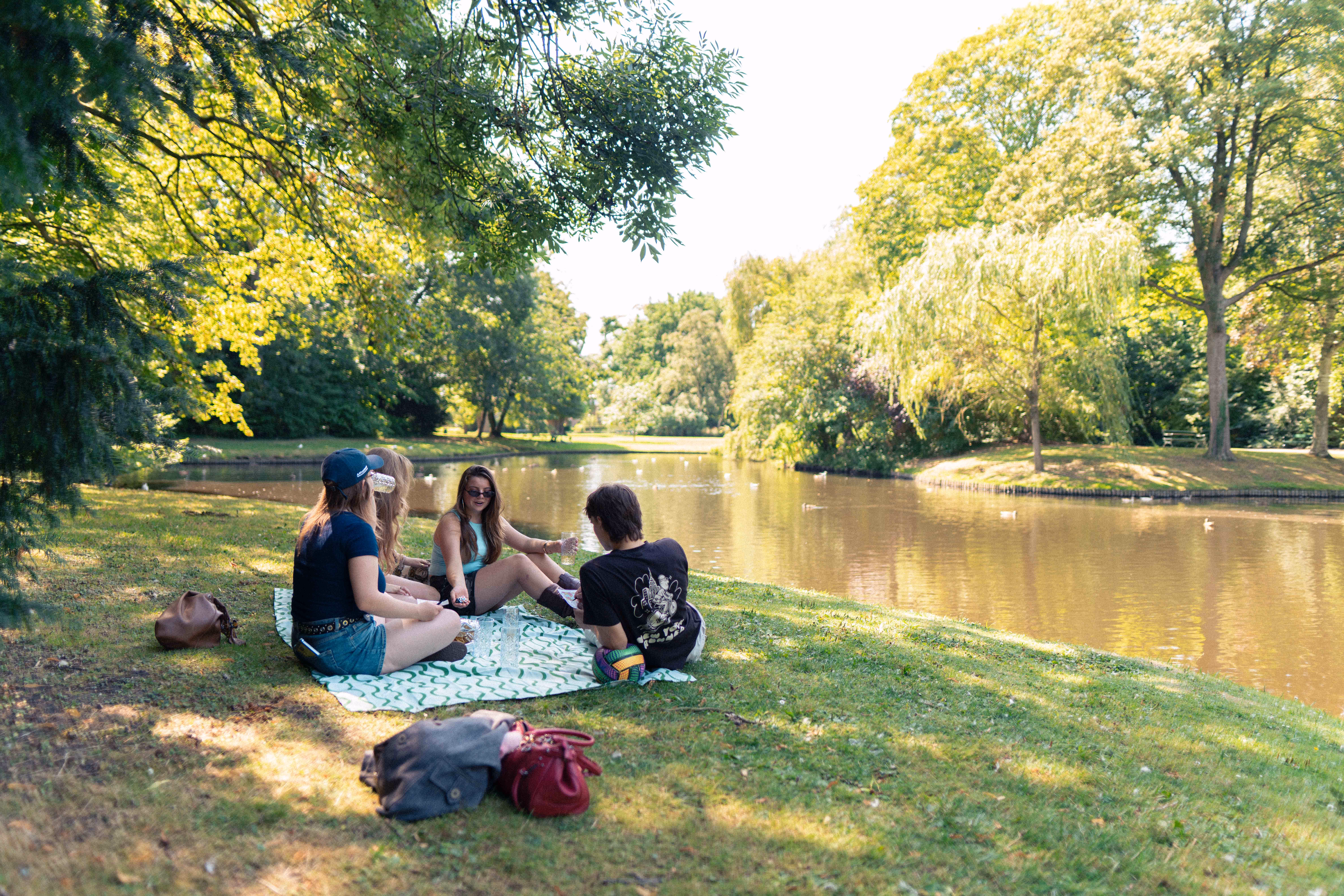 Vier vrienden zitten op een picknickkleed bij een vijver in een zonovergoten park met groene bomen.