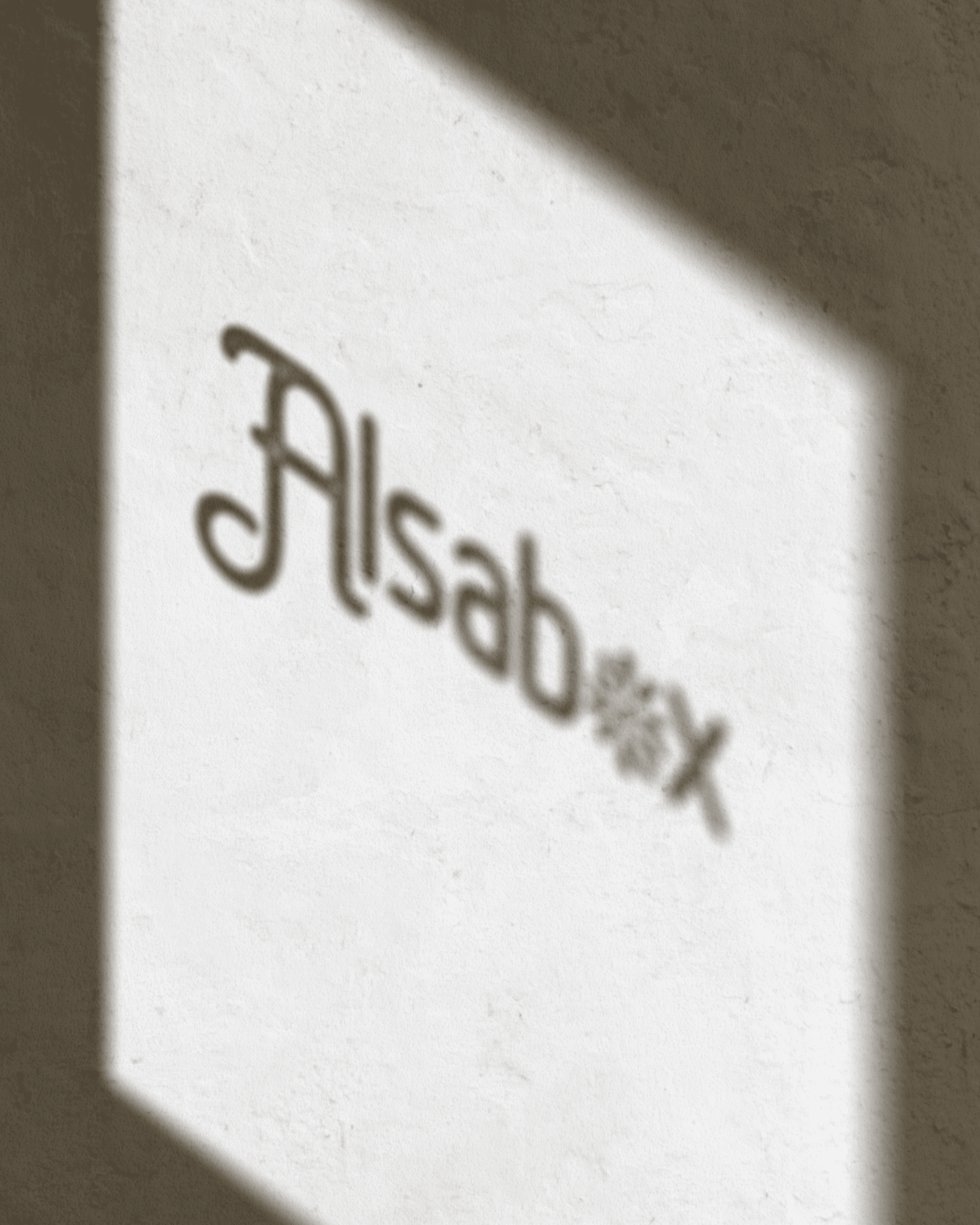 Mise en avant de l'identité visuelle de alsabox en ombre sur un mure