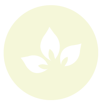 Picto graphique de la fleur de Lia Studio