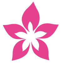 Fleur décorative présente dans la charte graphique de Lia Studio