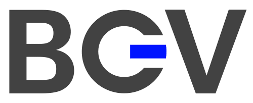 Elevating Success: BGV Breaks the VC Mold by Turning Diversity into a Competitive Advantage