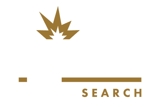 Logo for Ignite Search featuring the word 'ignite' in bold white lowercase letters with a stylized golden spark above the letter 'i' and a gold underline beneath the word, with 'SEARCH' in gold capital letters below the underline.