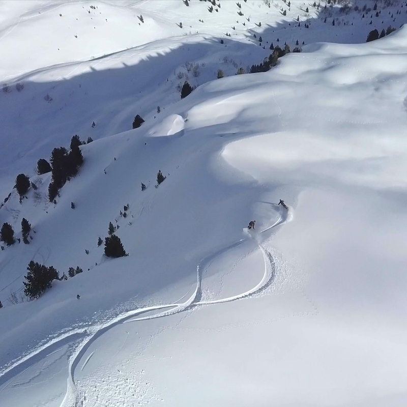 Des films d'aventures sur les traces du loup mais à ski cette fois