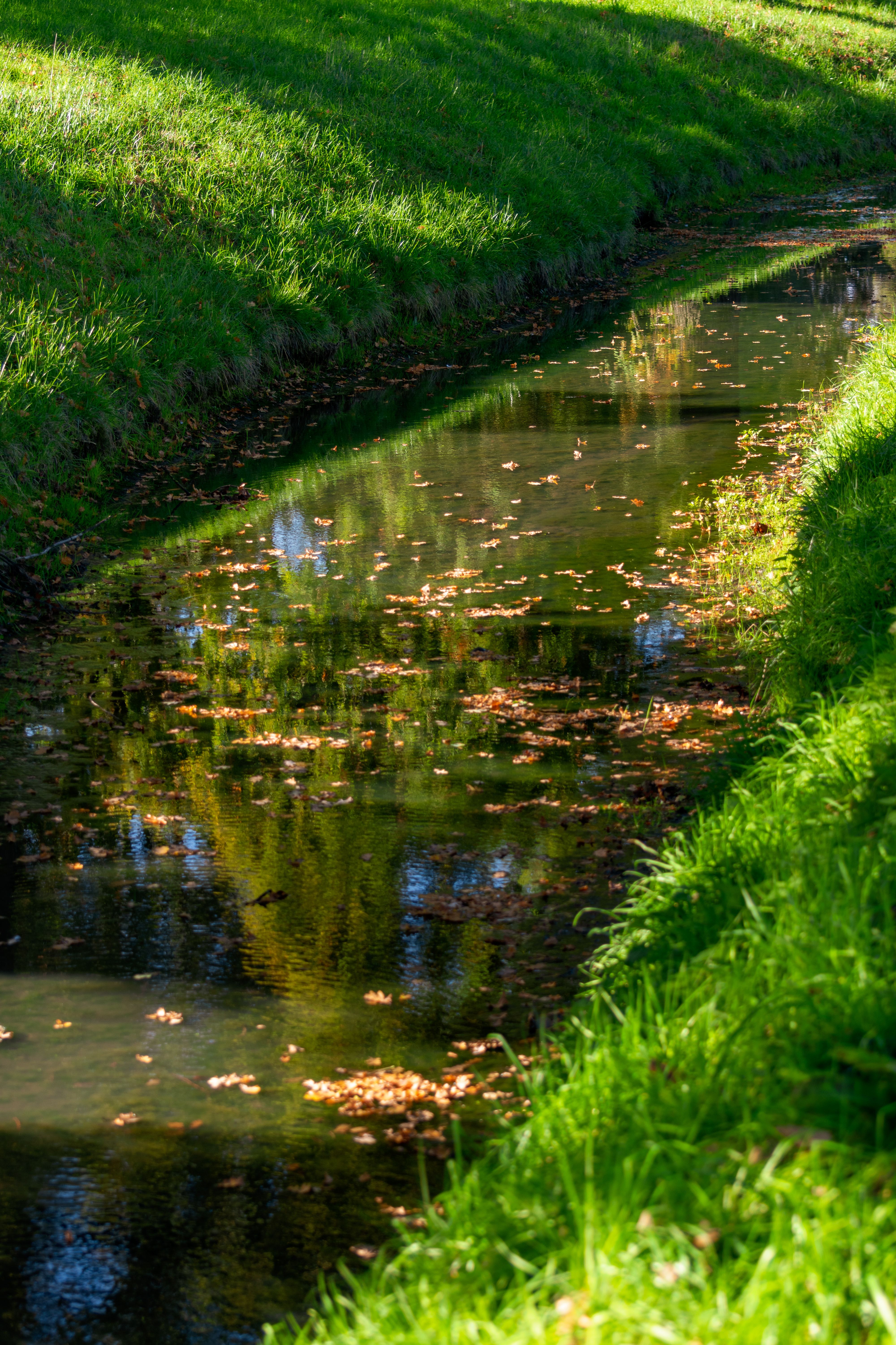 Creek stock image