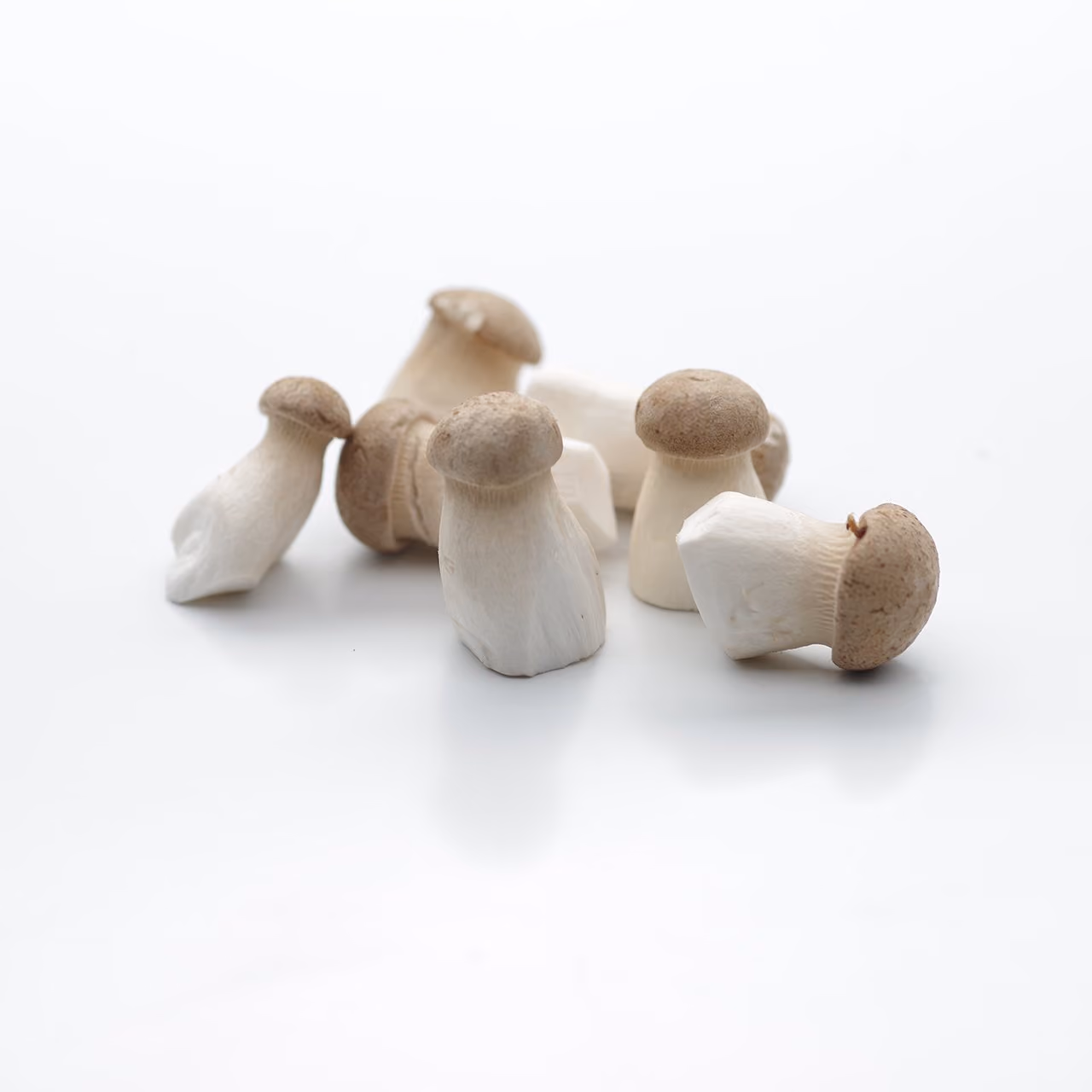 Seven small mushrooms with beige caps and white stems on a white surface.