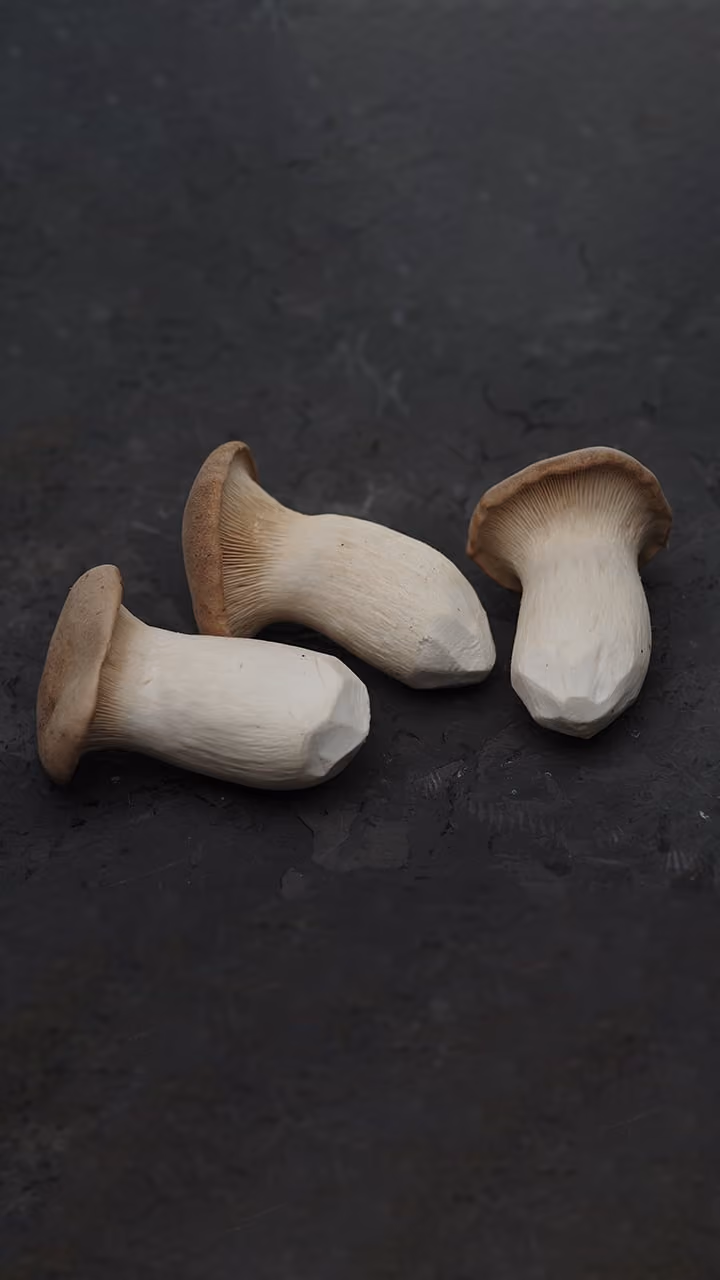 Three king oyster mushrooms with thick white stems and brown caps on a dark surface.