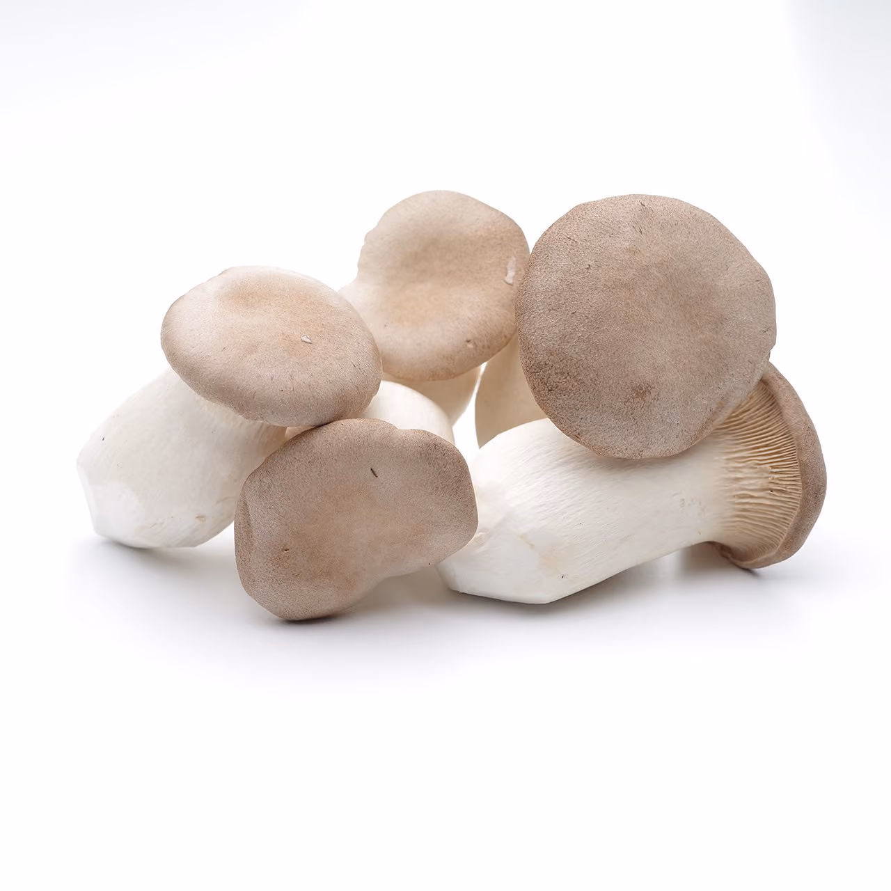 Group of fresh brown-capped king oyster mushrooms on a white background.