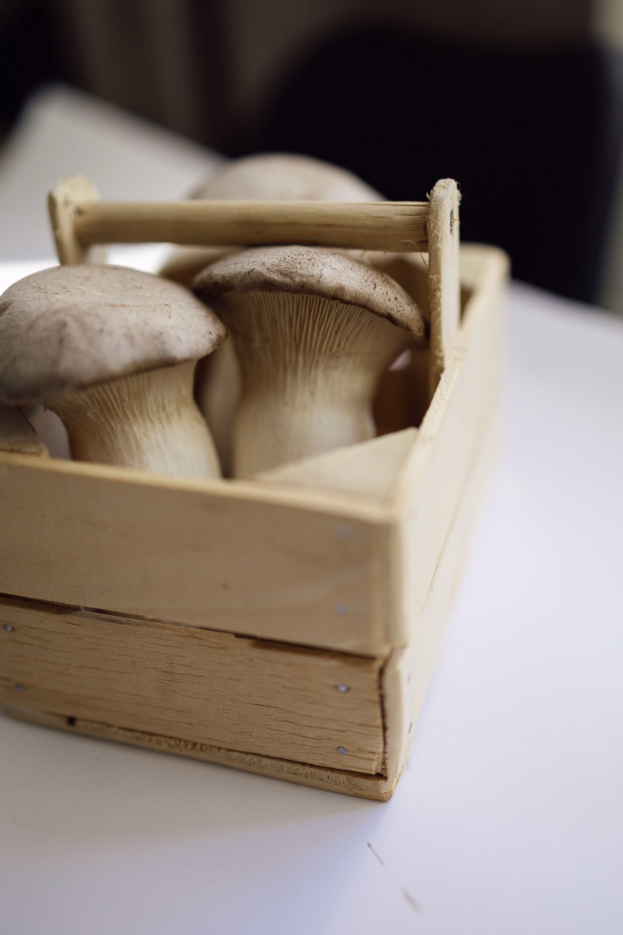 Close-up of several mushrooms with thick stems in a small wooden basket on a white surface.