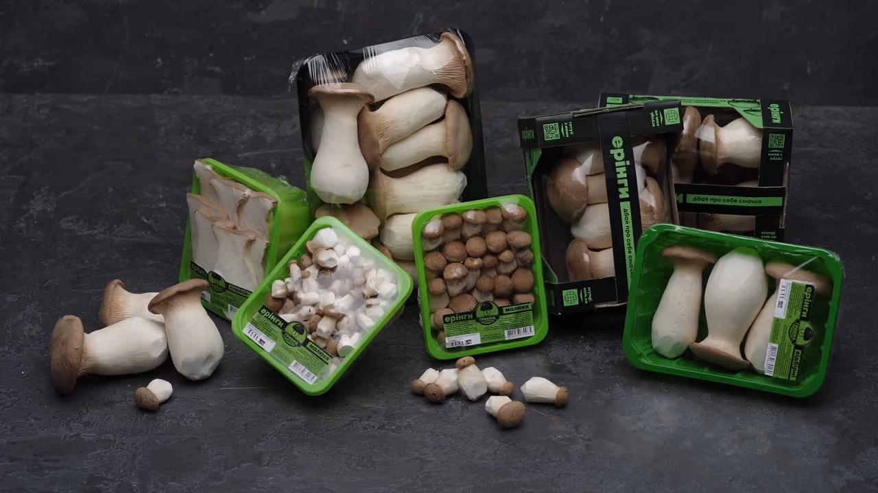 Fresh king oyster mushrooms sorted by size