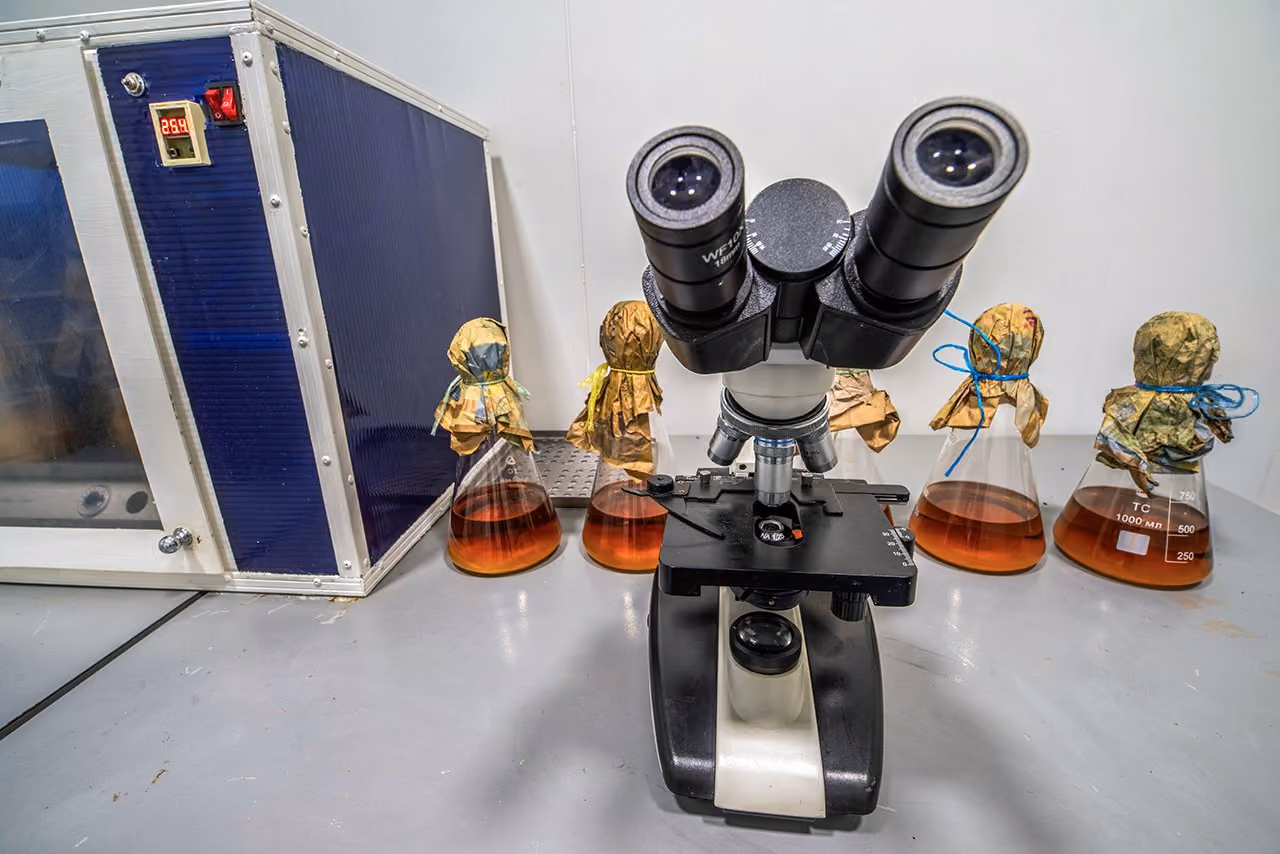 Laboratory equipment used for mushroom production control
