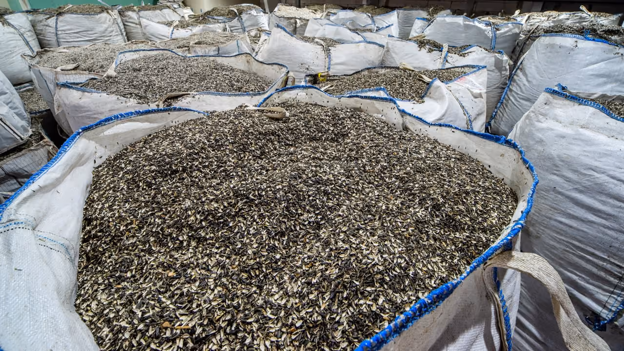 Selected raw materials for mushroom substrate preparation