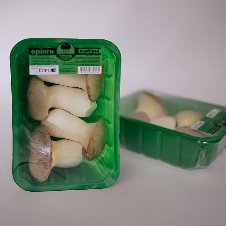 Green plastic trays containing packaged king oyster mushrooms on a white surface.